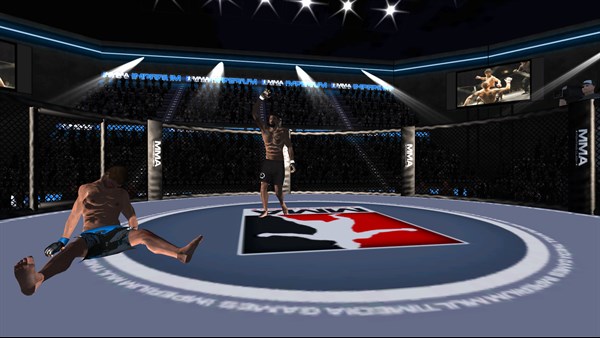 UFC Simulator MMA Championship — 6