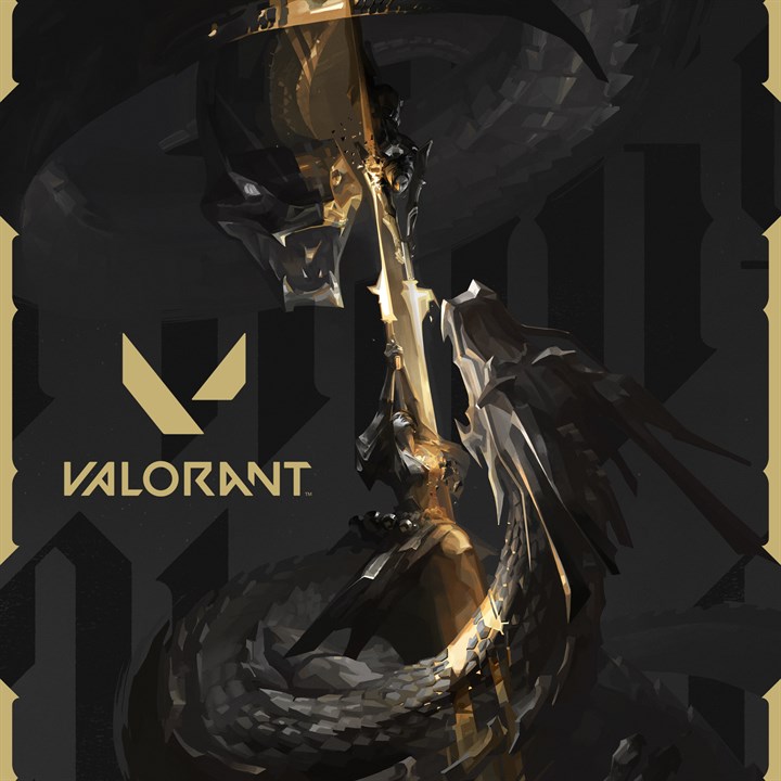 VALORANT