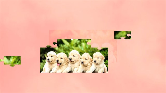 Puppies Jigsaw Puzzles screenshot 2