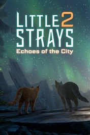 Echoes of the City
