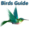 Birds Guide
