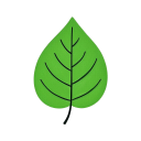 LHome 新标签页 icon