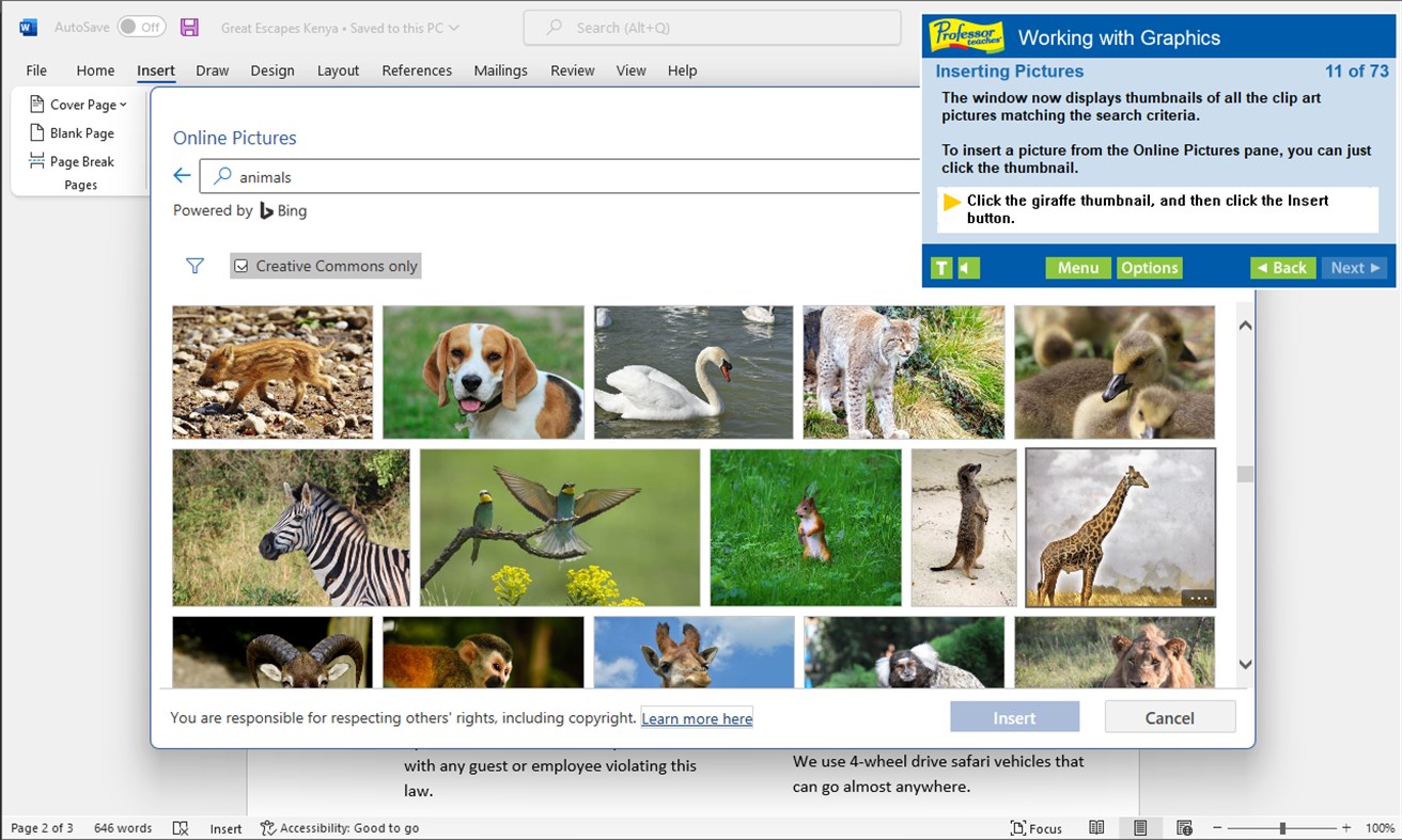 #1. Professor Teaches Word 2021 (Windows) 由: Individual Software Inc.