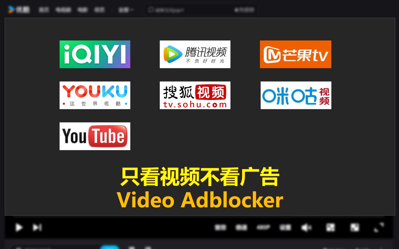 视频去广告-Video Adblocker