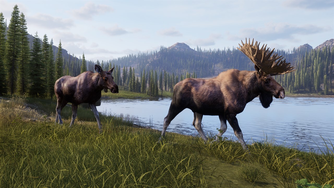 Way of the Hunter 2 screenshot 3