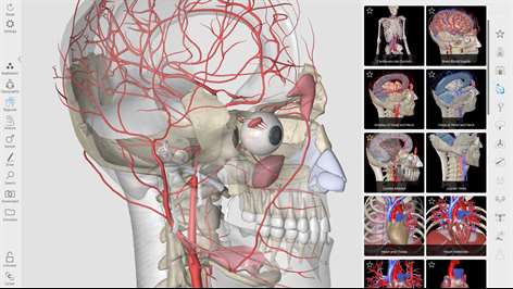 3D Organon Anatomy Screenshots 1