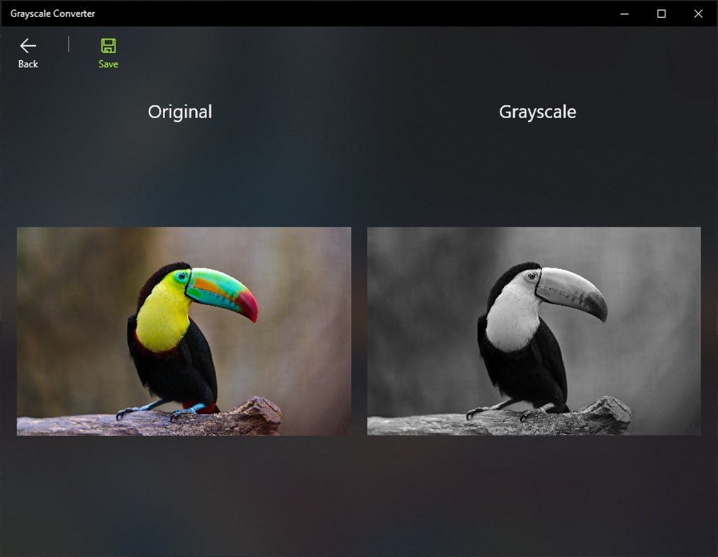 #3. Image to Grayscale Converter - Pro (Windows) Ved: Roberto Baruffa - Pro