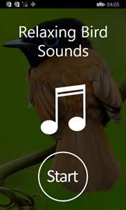 Bird Sounds-Relax and Sleep screenshot 5