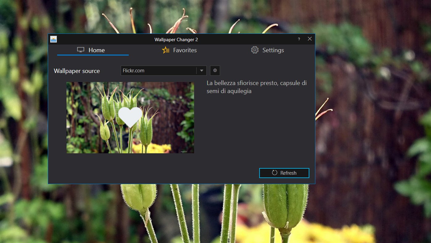 #2. Wallpaper Changer 2 (Windows) By: Verloka Vadim