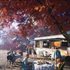 Food Truck Simulator