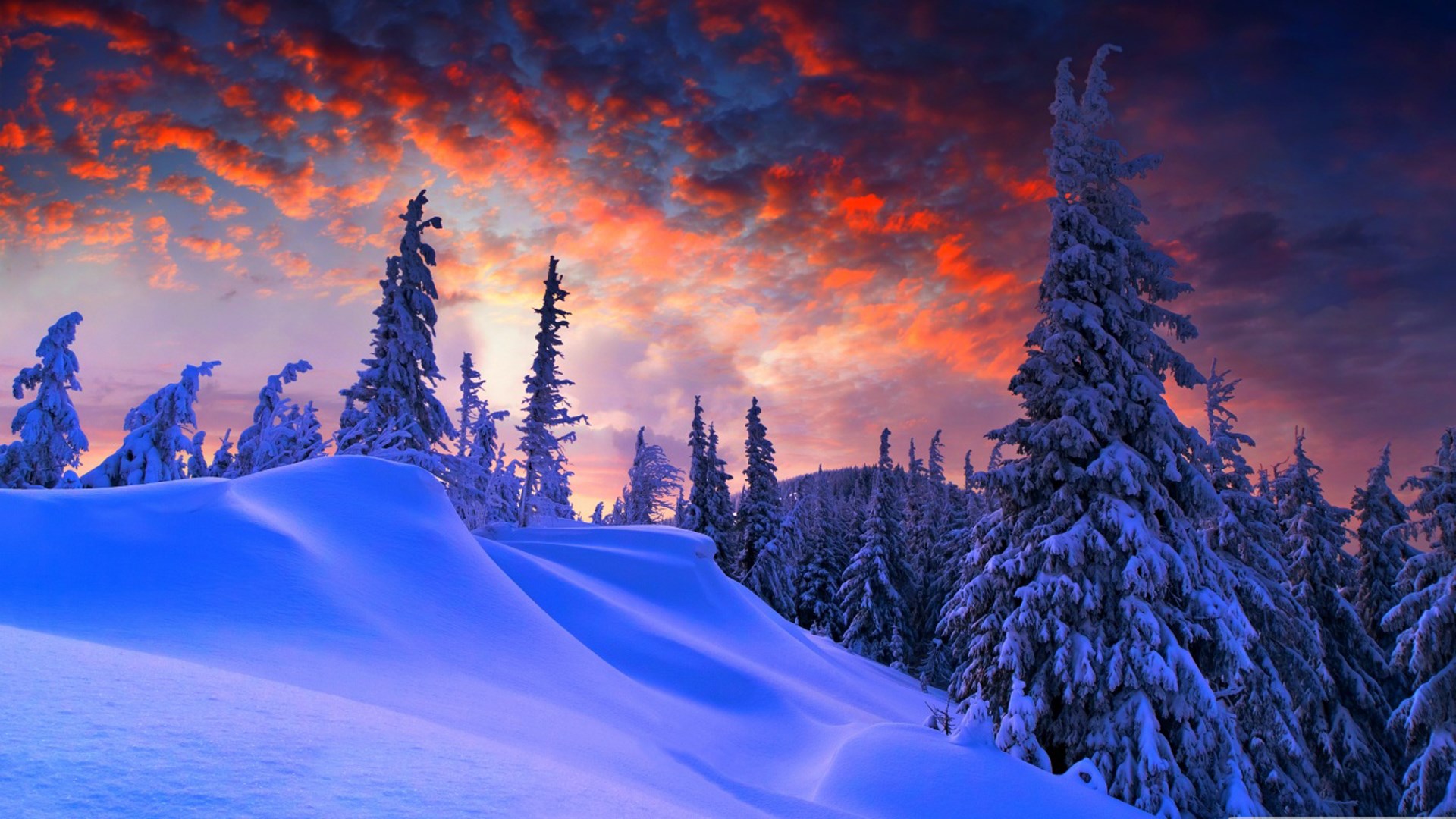 Get Winter Wallpapers - Microsoft Store