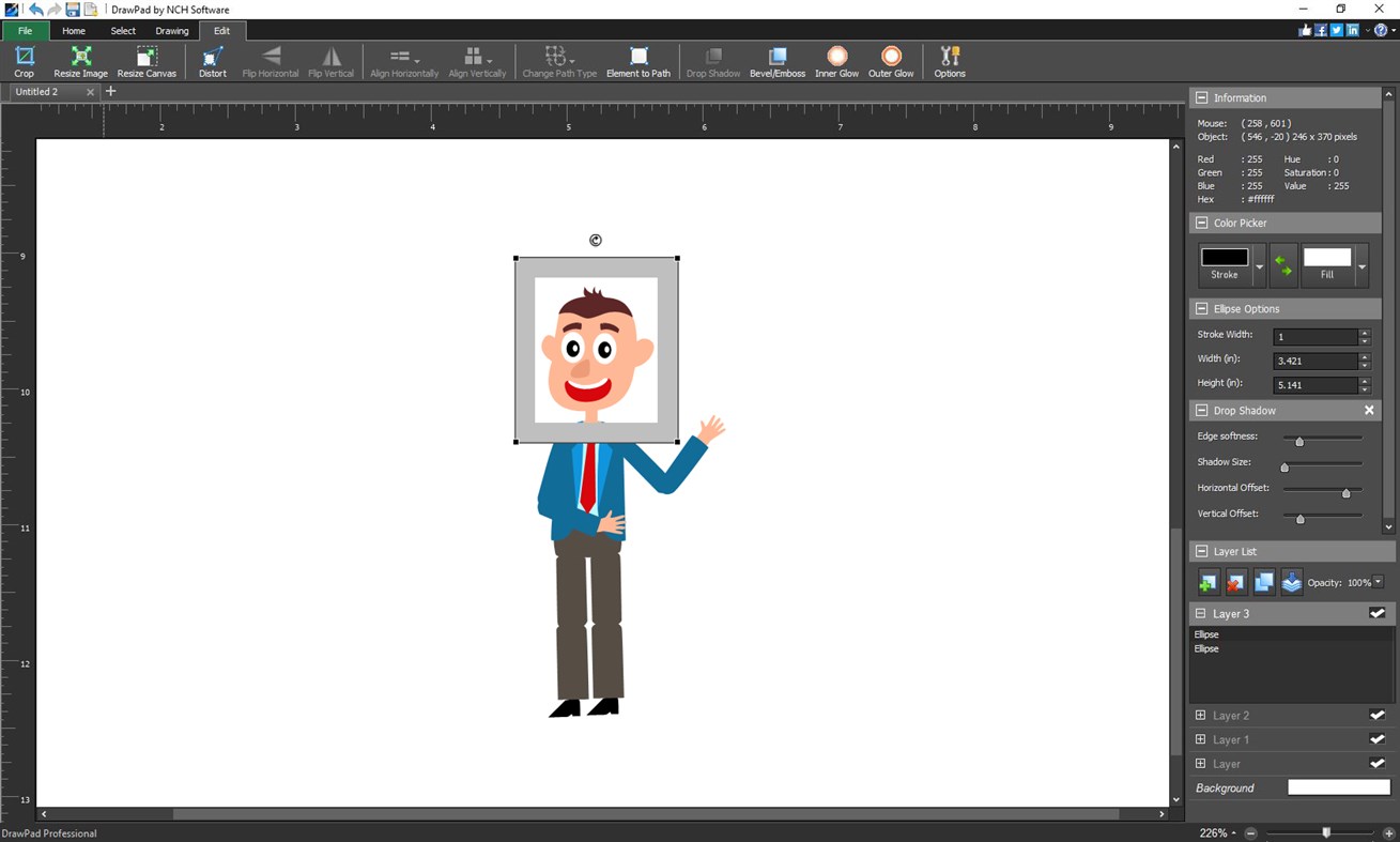 #2. DrawPad Professional (Windows) De: NCH Software