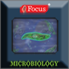 Microbiology - Dictionary