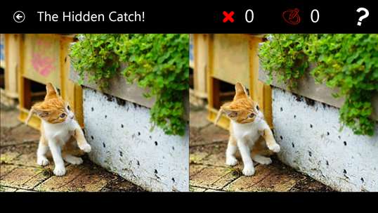 The Hidden Catch screenshot 2