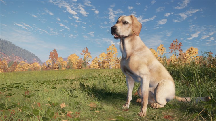 theHunter: Call of the Wild™ - Labrador Retriever - Xbox - (Xbox)