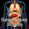 Human Anatomy Dictionary Definitions Terms