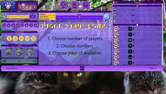 Mystic Cats Bingo screenshot 3