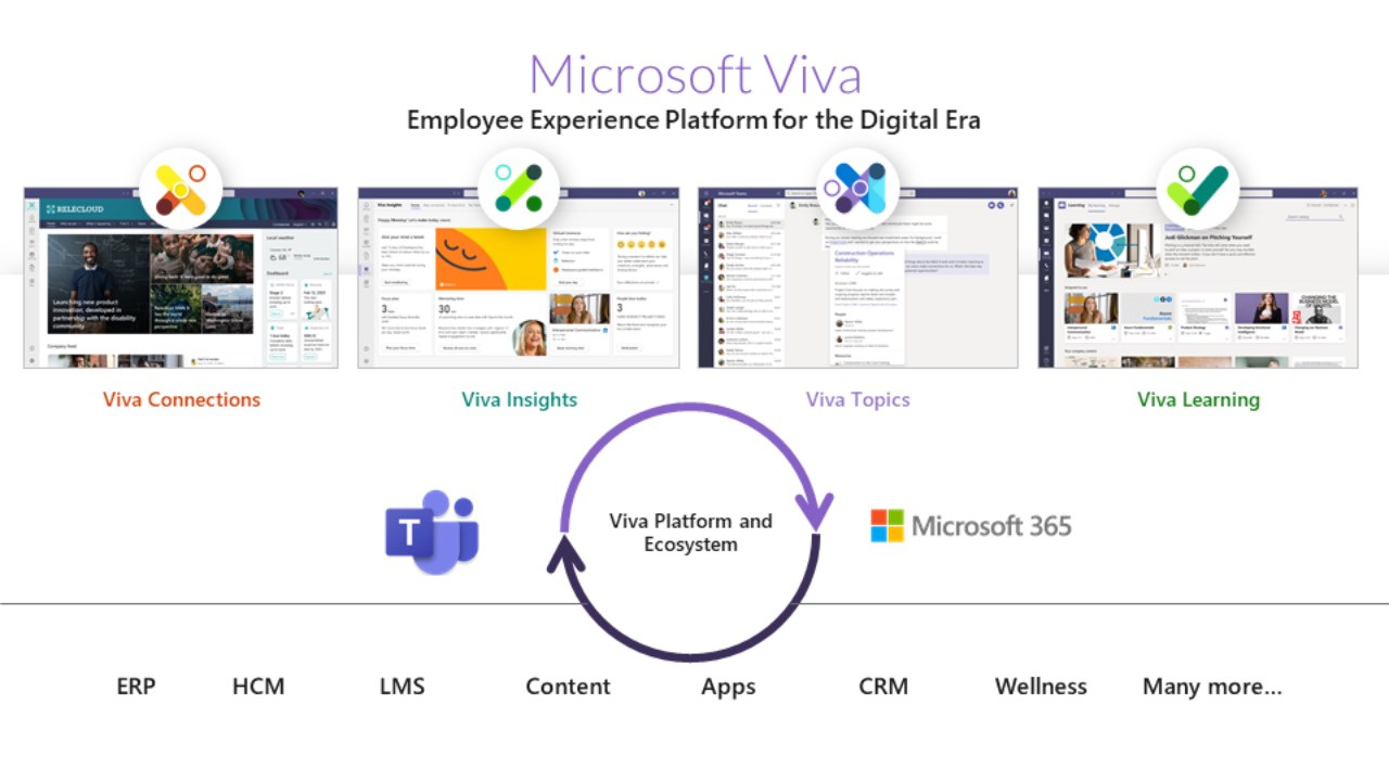 Snapshot 4 of Viva Quick Start: 2-Wk Implementation
