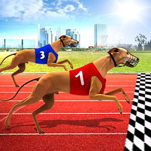 Greyhound Racing Run Dog