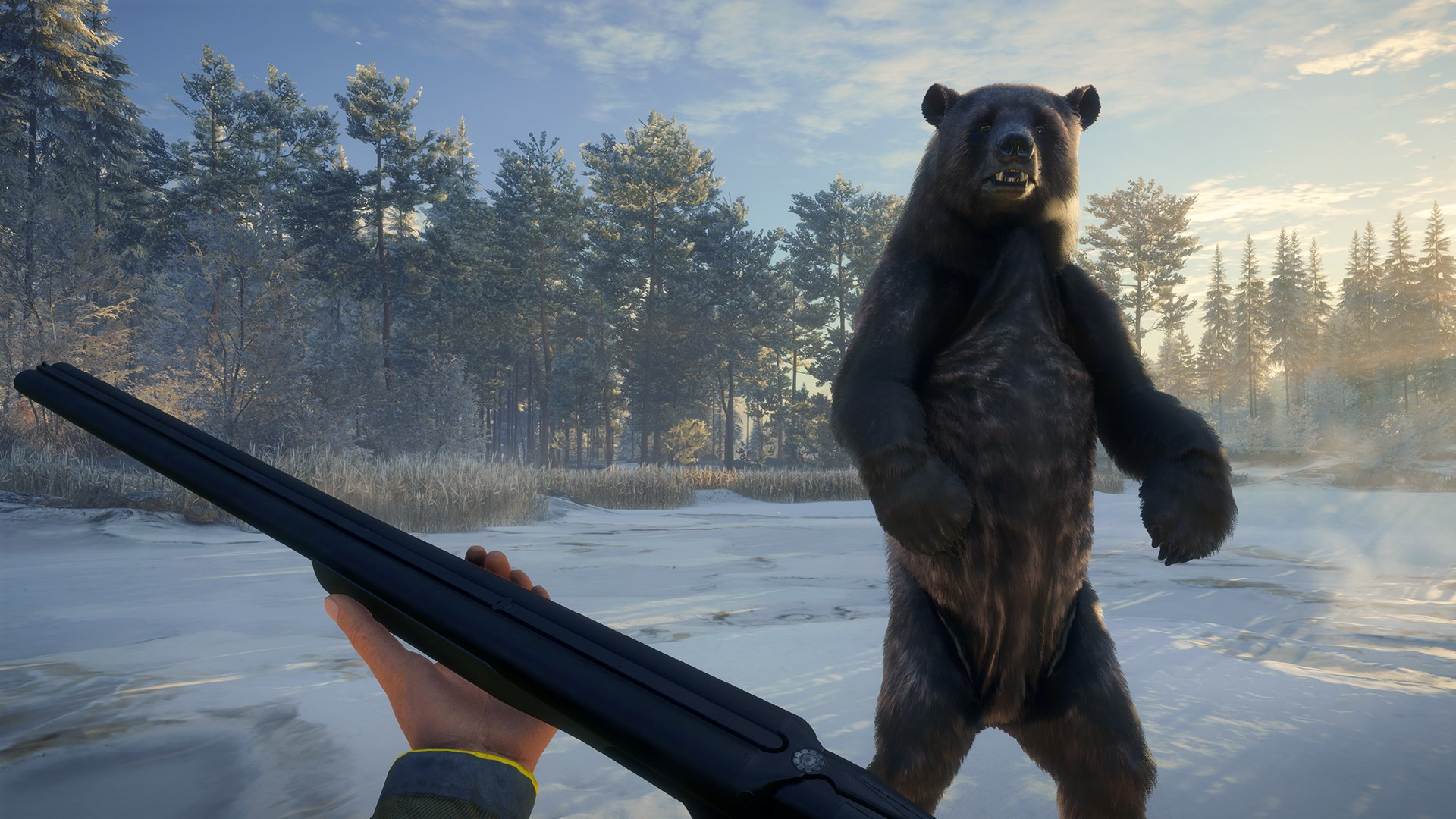theHunter: Call of the Wild™ - Weapon Pack 2 - Windows 10 | Xbox | Chiave | Privato