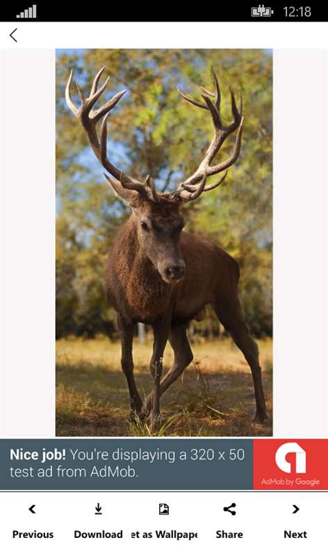Animal_Wallpapers Screenshots 2