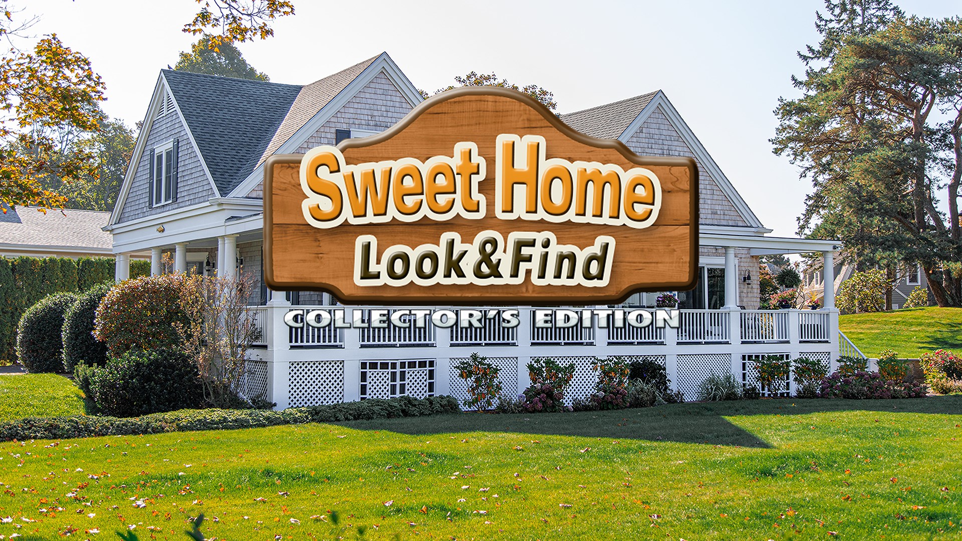 Sweet Home: Look and Find Collector's Edition