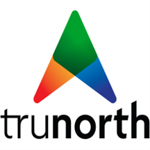 TruNorth Dynamics Discovery Call for Power BI image