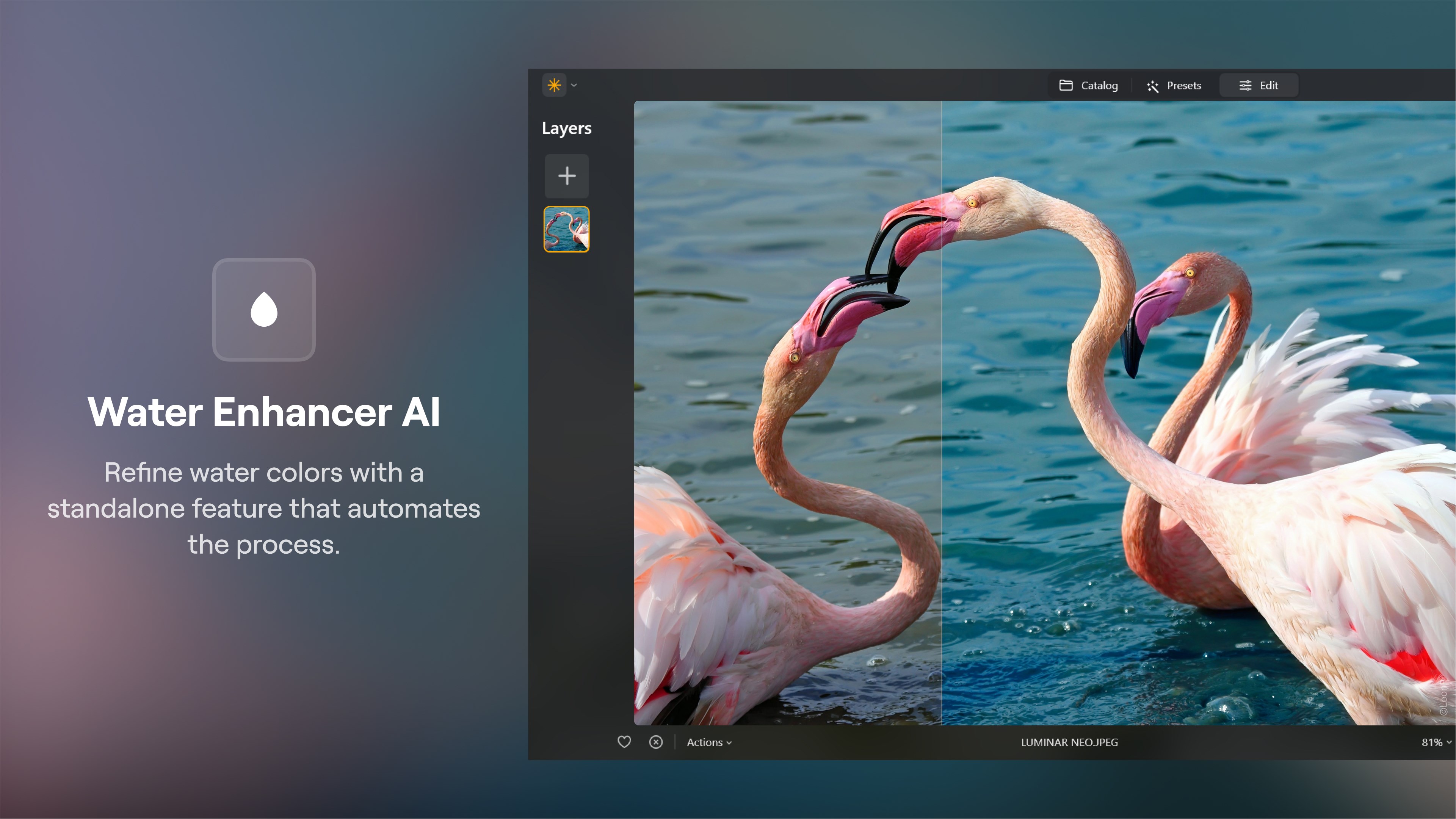 Luminar Neo - AI Photo Editor - Free download and install on Windows |  Microsoft Store