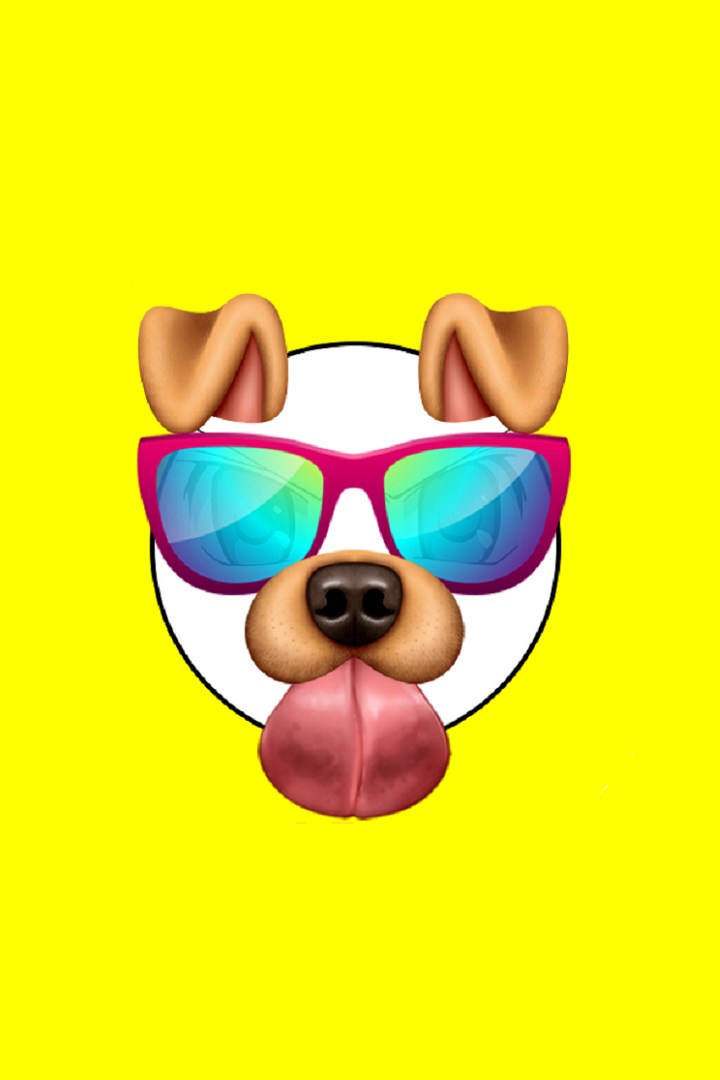 Snappy Face Photo Filters