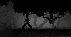 Dark Dream