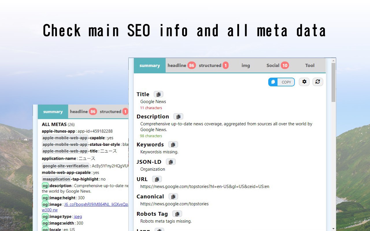 SEO META 1 COPY