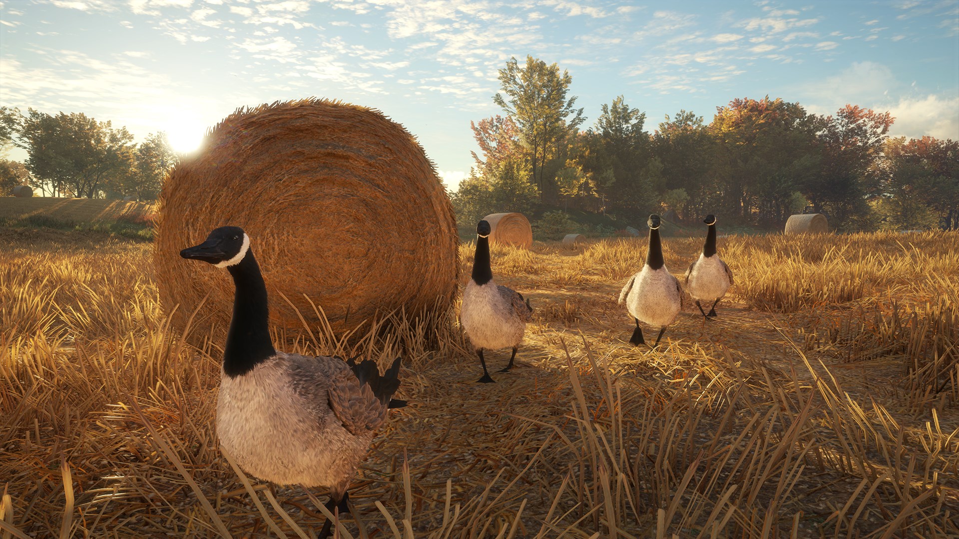 theHunter Call of the Wild™ Wild Goose Chase Gear Windows 10 Price