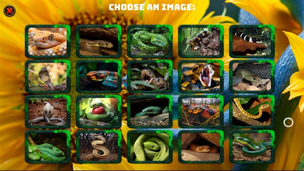 Snake Jigsaw Puzzle for PC — 8