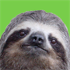 Sloth Fever