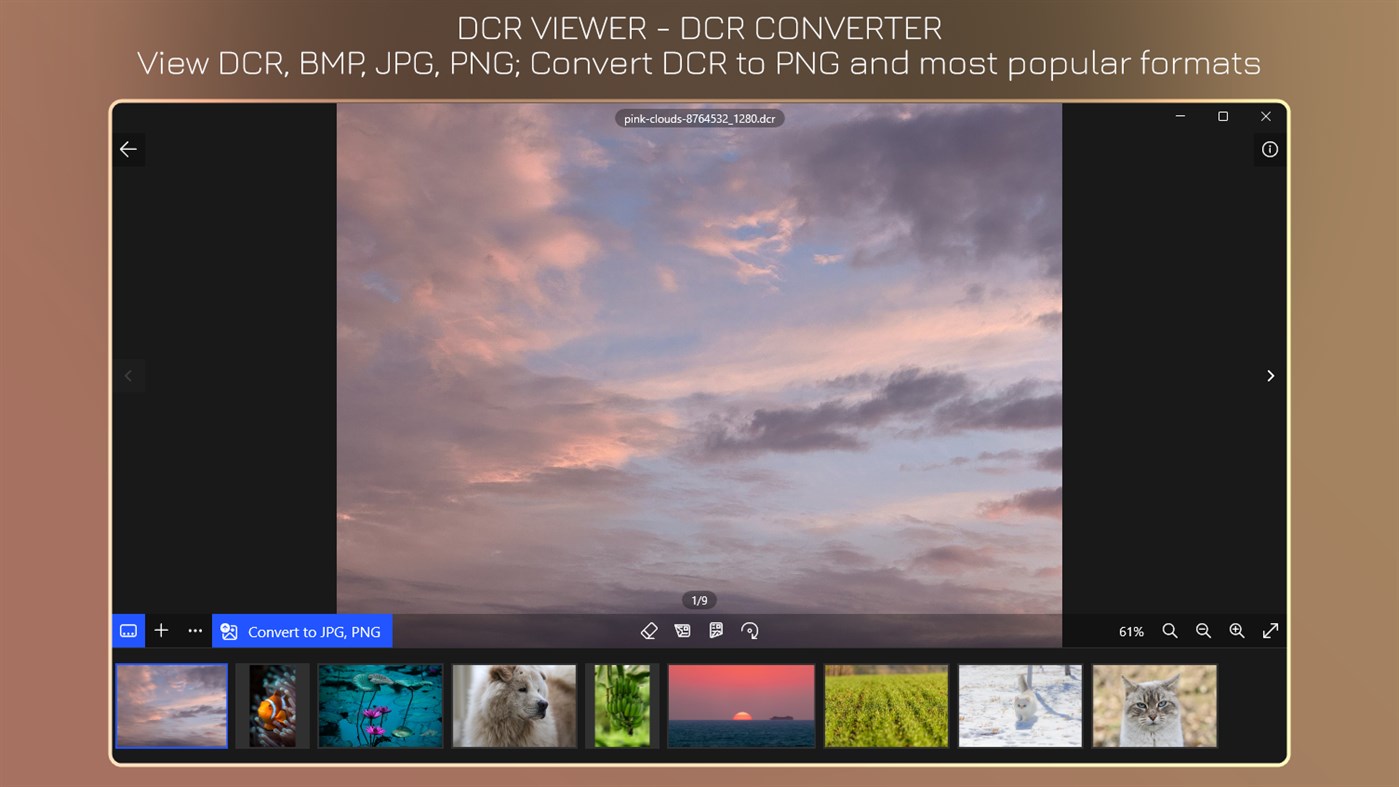 #1. DCR Viewer+ - DCR to JPG (Windows) By: IO Vision