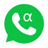 WhatsApp Beta Phone