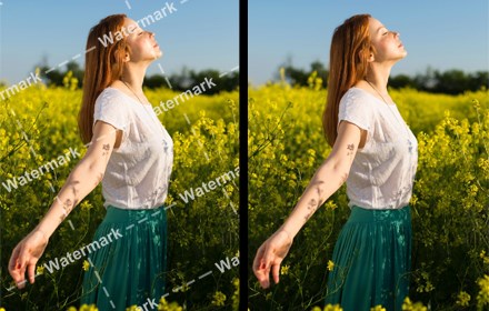 Watermark Remover from Photo | Inpaint small promo image