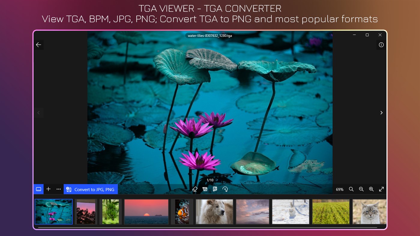 #1. TGA Viewer+ (Windows) โดย: IO Vision