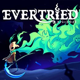Aperçu Evertried