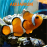 Fresh and Salt Water Aquarium