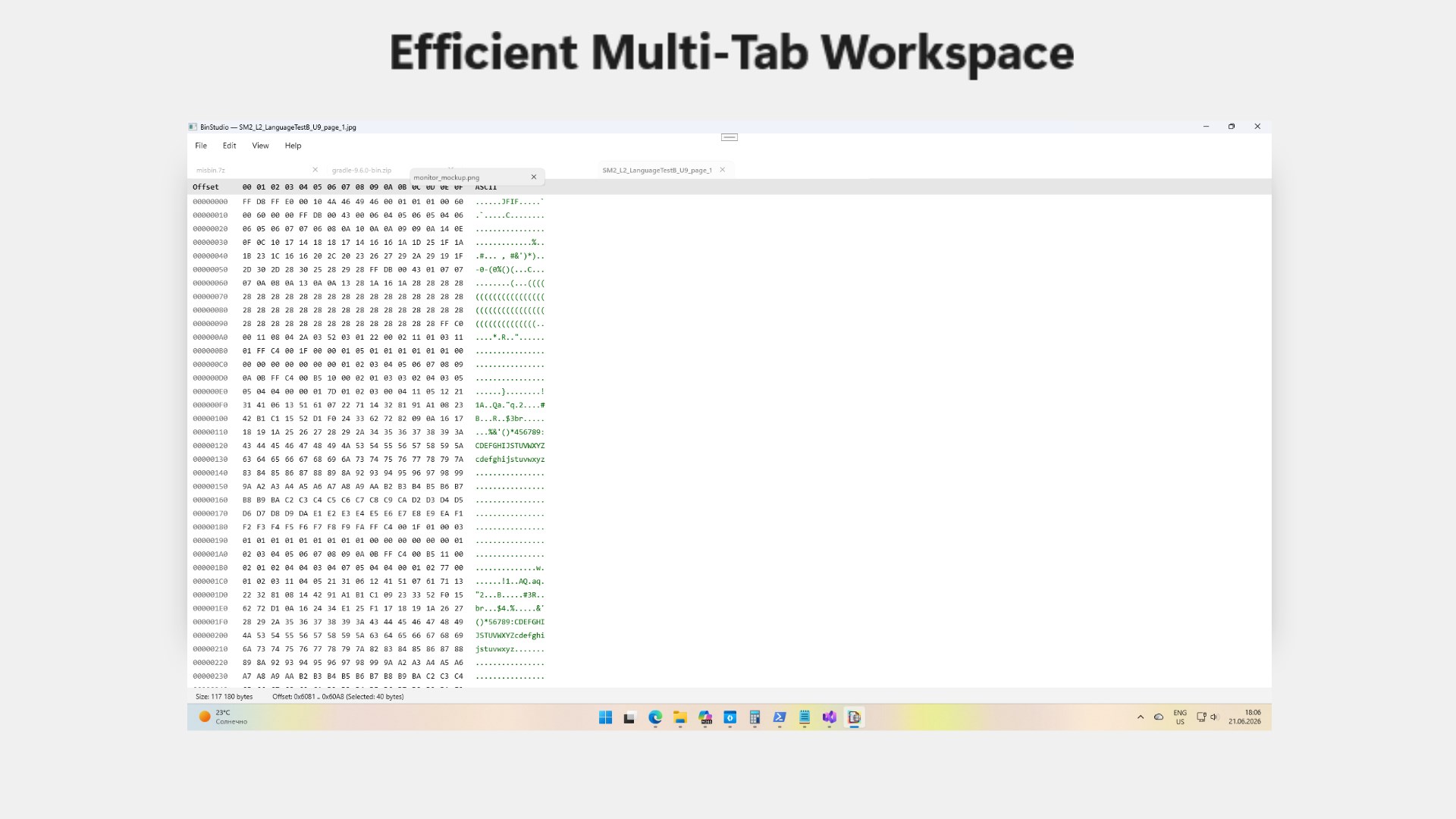 BinStudio — Fast HEX Editor & Binary Viewer screenshot