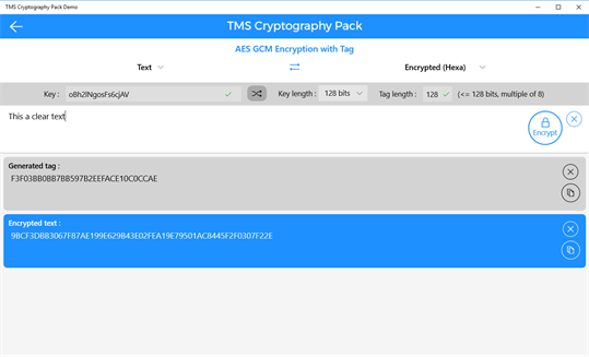 TMS Cryptography Pack Demo screenshot 2