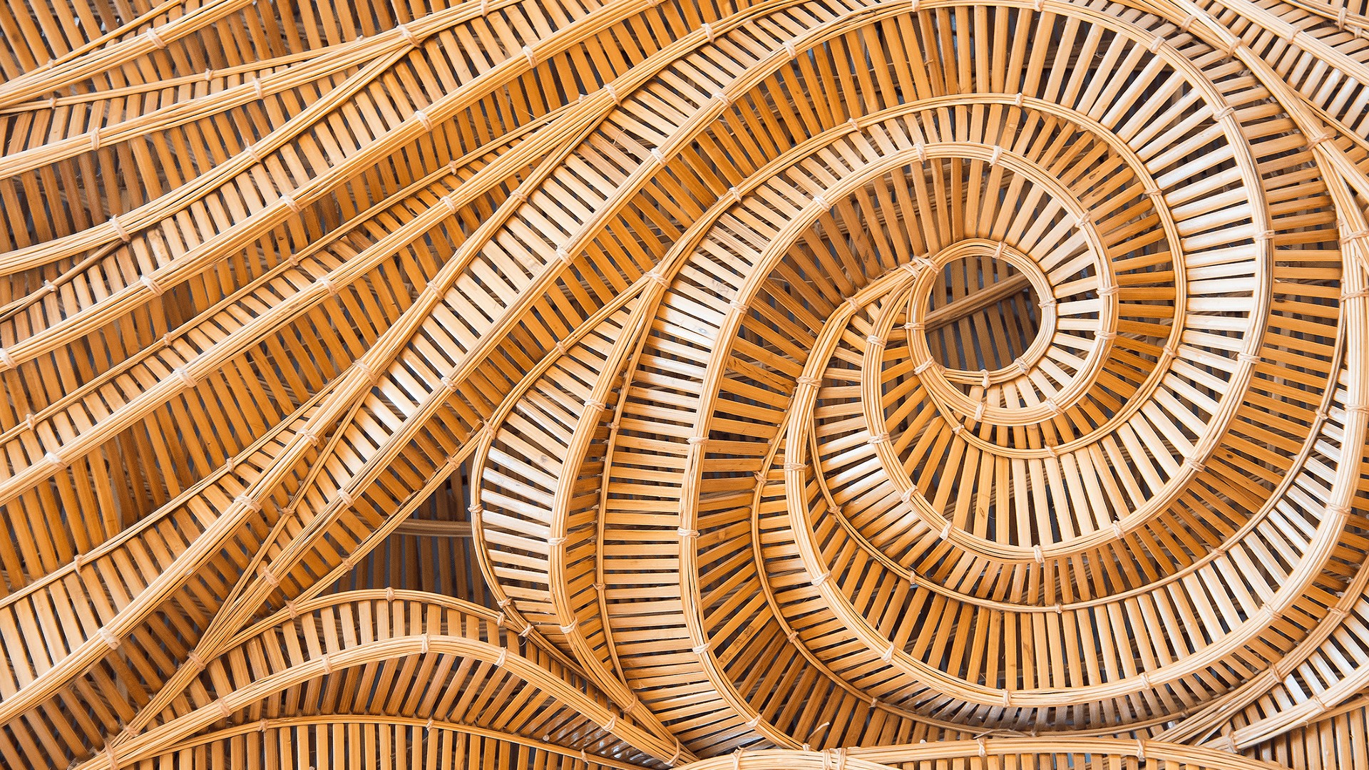 Theme World of Bamboo