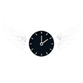 Clockfly-local