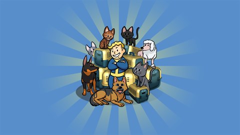 Paket mit 40 Haustier-Transportboxen