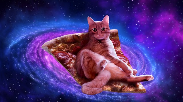 AAA Dynamic Scenes - Lazy Pizza Cat Dynamic Scene screenshot 1
