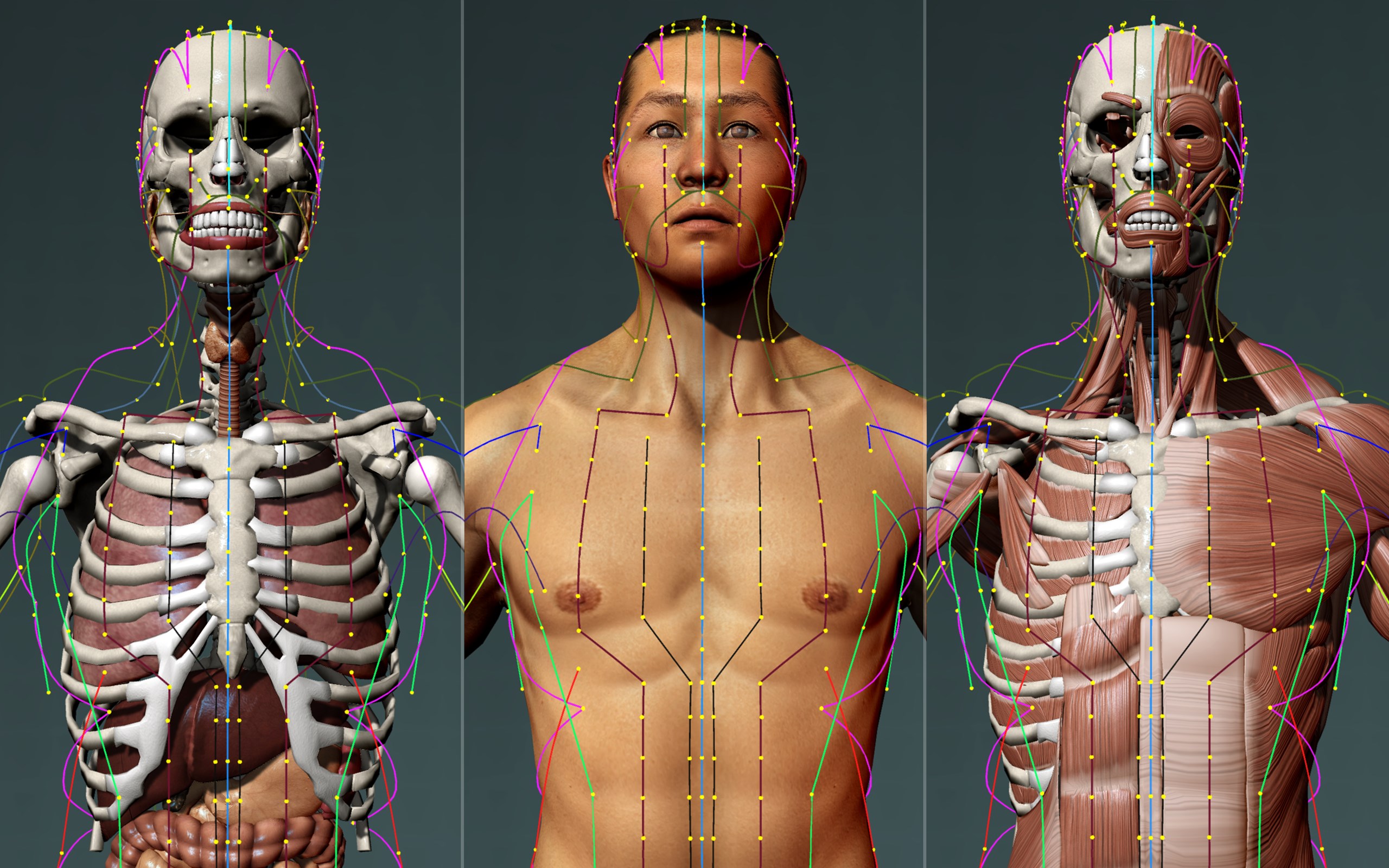 Zbrush ретопология лица. 3d моделирование лица программа. Приложение 3 д человек. Makehuman модели. Игровое моделирование в blender.