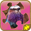 Best Jigsaw Puzzles