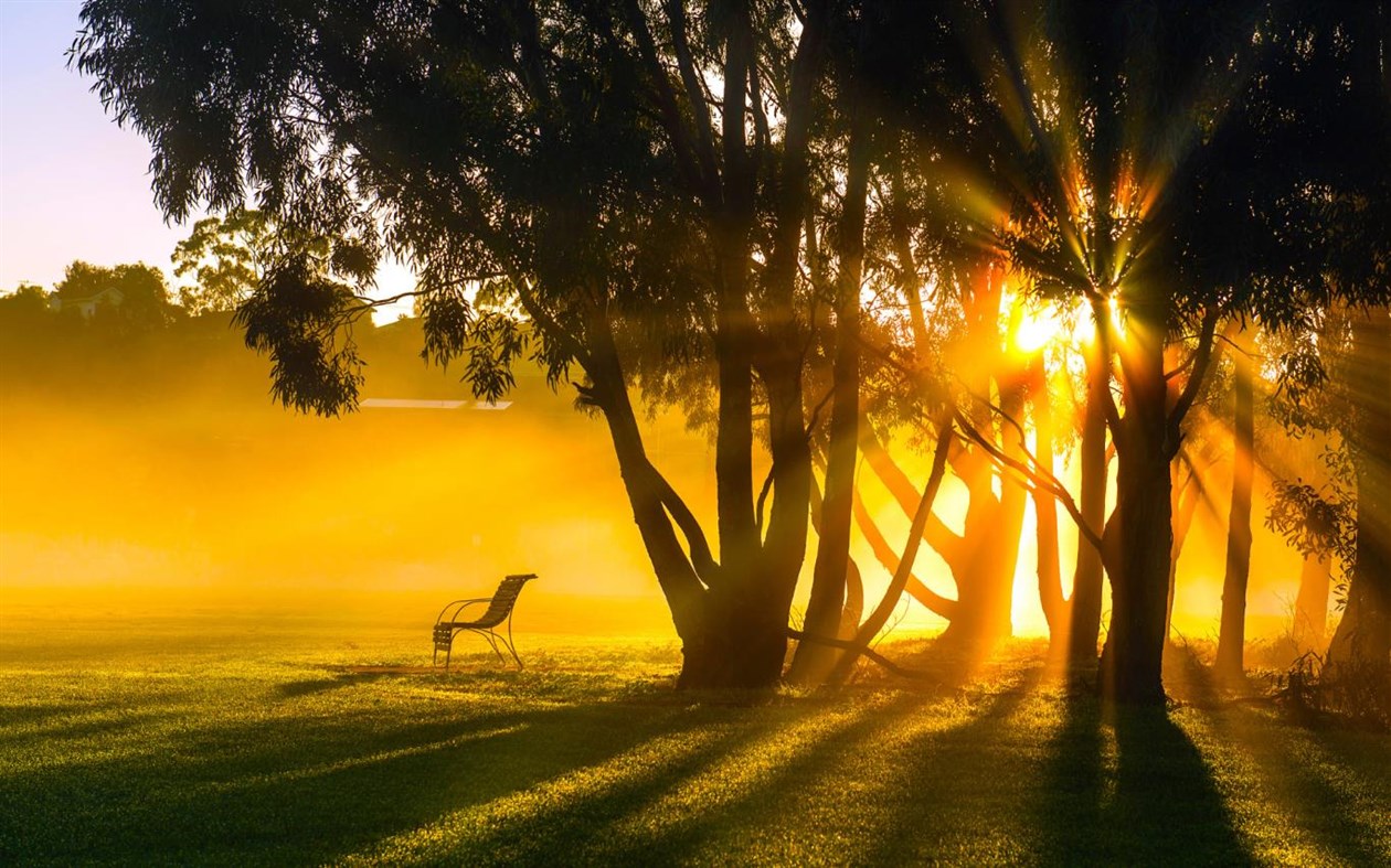 #4. Out on a Limb (Windows) 由: Microsoft Corporation