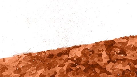 Insurgency: Sandstorm - Year 1+2+3+4 Bundle